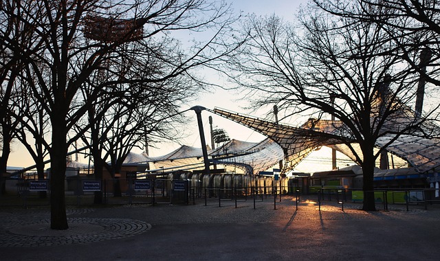 在这些国家 在这些国家