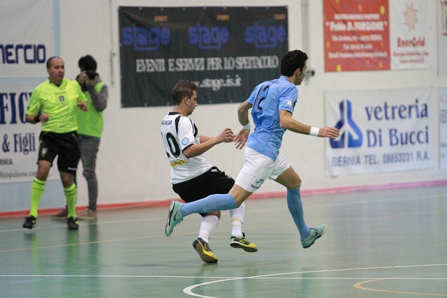 体育领域的 体育领域的