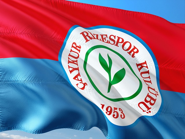 波尔图这样 波尔图这样