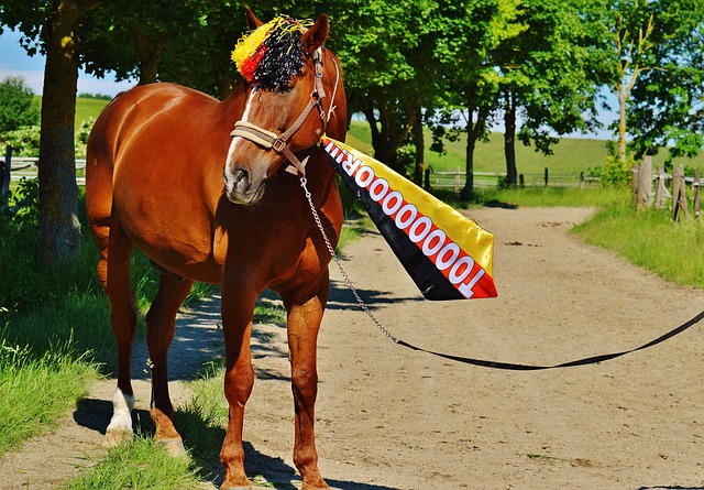 场上的大局 场上的大局