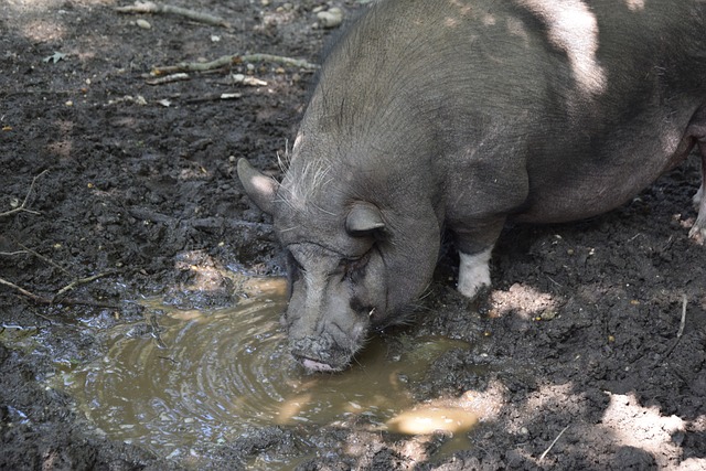 事件始末 事件始末