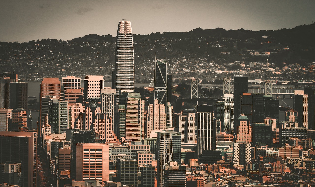 所扮演角色 所扮演角色