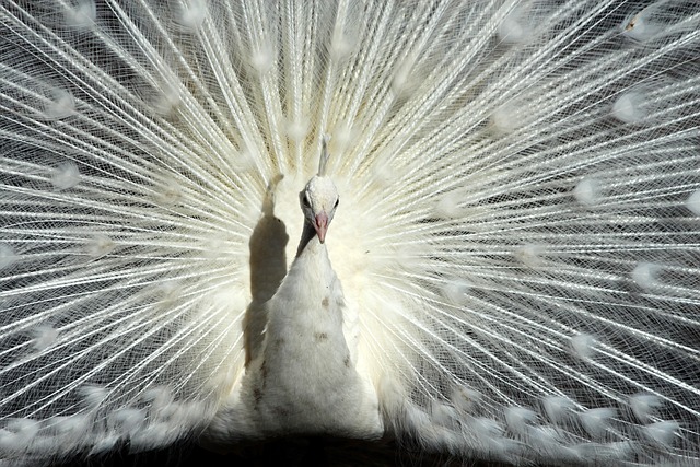这些活动既 这些活动既
